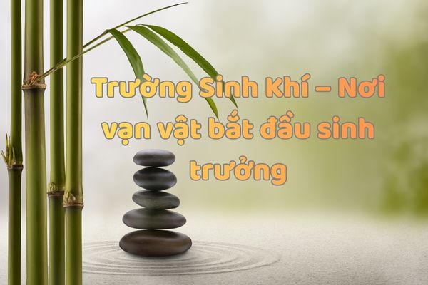 Trường Sinh Khí là gì? Tác động của trường này đến đời sống như thế nào?